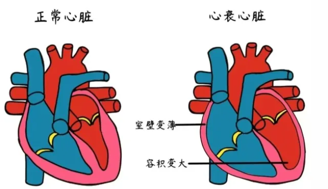 e1a43a4937180808c8ded07db809576.png e1a43a4937180808c8ded07db809576.png
